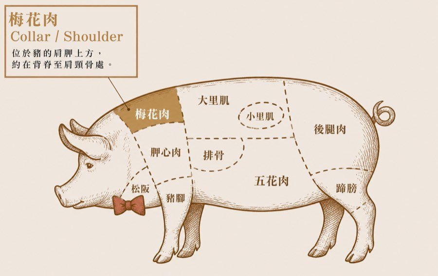台灣豬肉部位圖解：梅花肉的位置