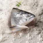 不老鮭鮭魚膠質鮭魚頭 250g